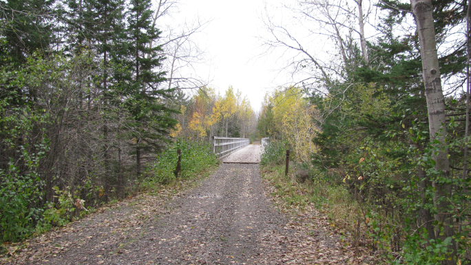 jitney trail.png